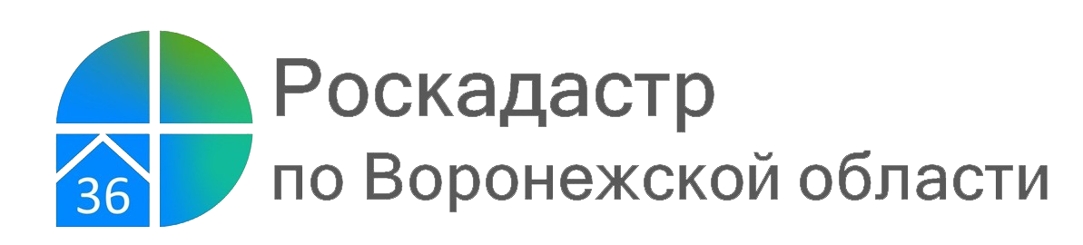 Воронежский Роскадастр ответит на вопросы получения выписок и материалов ГФДЗ.
