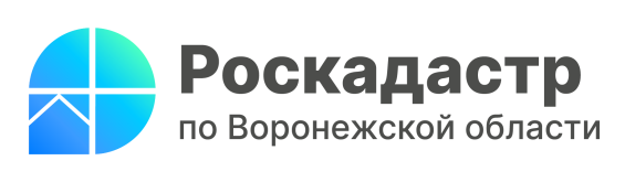 Больше миллиона сведений из ЕГРН выдал региональный Роскадастр за полгода.